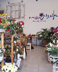 Подарки к Новому году от цветочного магазина в Петах Тикве «ОМАНУТ БЭПЕРАХ»